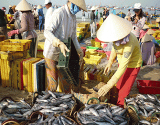 Năm 2013, Kiên Giang phấn đấu đạt sản lượng 435 500 tấn thủy sản